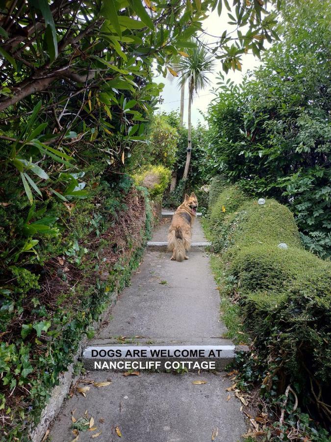 Dog Friendly Nancecliff Cottages Looe Buitenkant foto