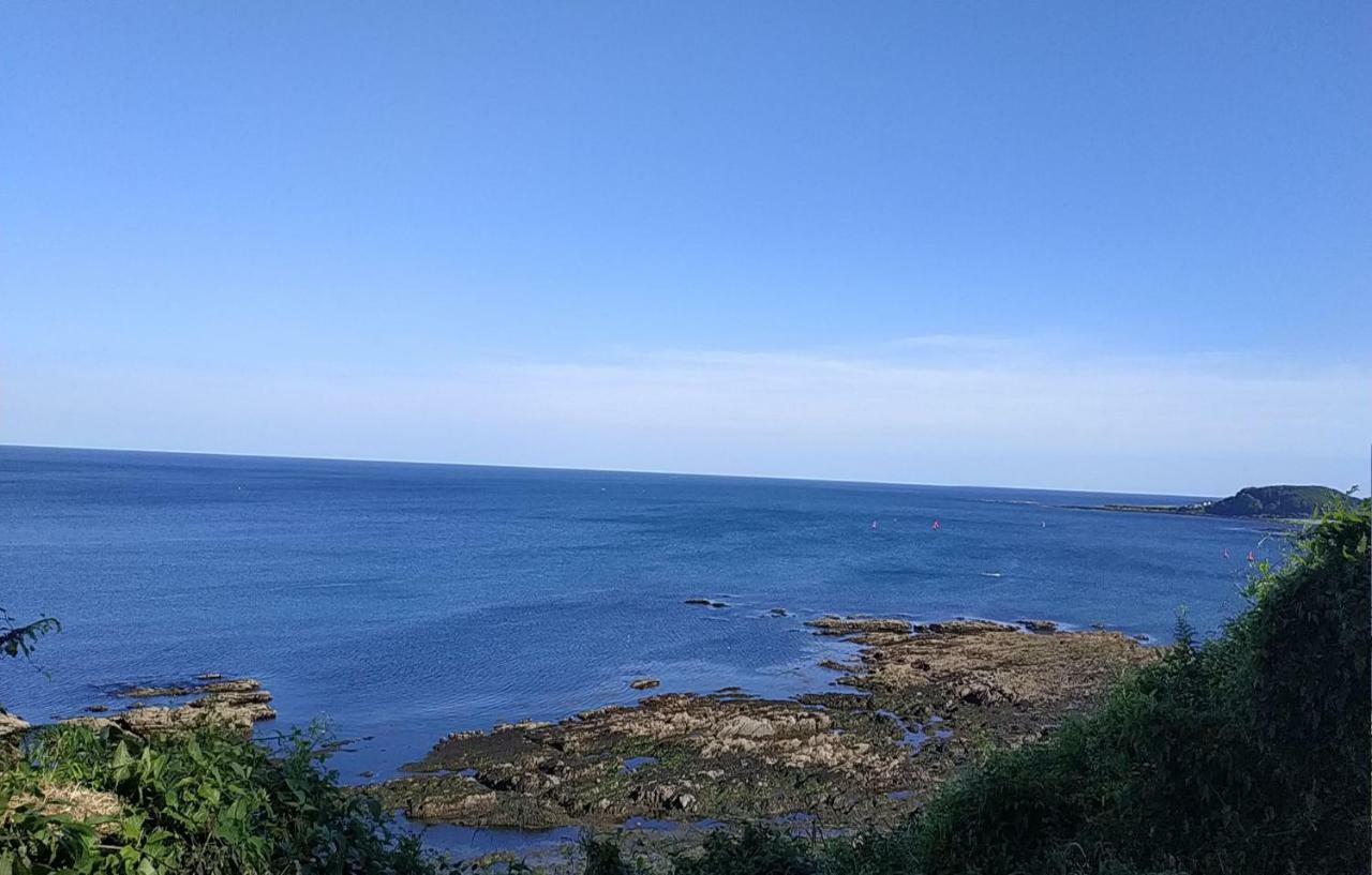 Dog Friendly Nancecliff Cottages Looe Buitenkant foto