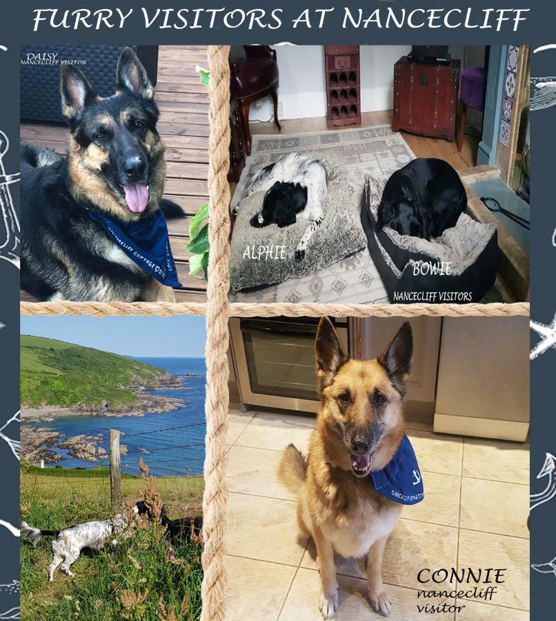 Dog Friendly Nancecliff Cottages Looe Buitenkant foto