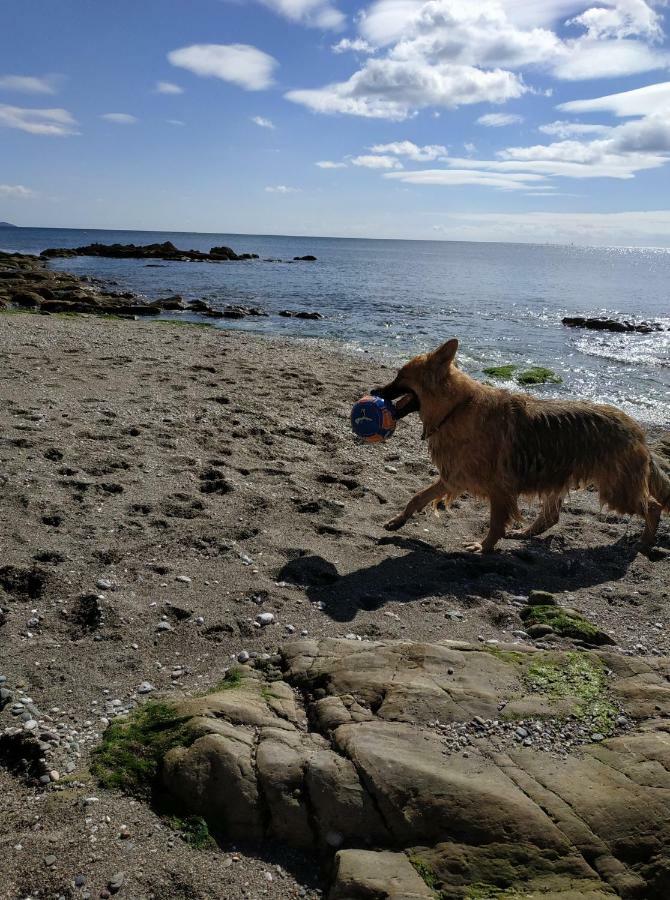 Dog Friendly Nancecliff Cottages Looe Buitenkant foto